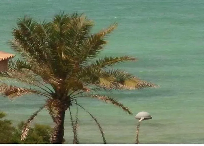 Sol De Mallorca 2* El Arenal (Mallorca)